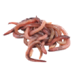 File:Worms.png